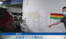 重庆杨先生最新爆料,揭秘某事件背后惊人真相